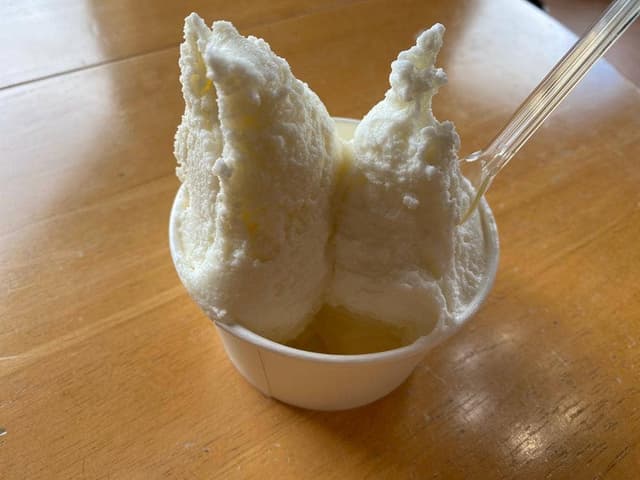 橋本牧場 イタリアンジェラート アイス工房 - サブ画像2