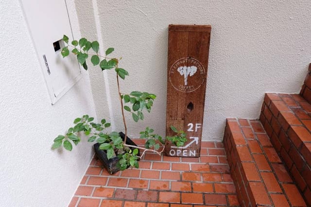 エレファント ファクトリー コーヒー - サブ画像3