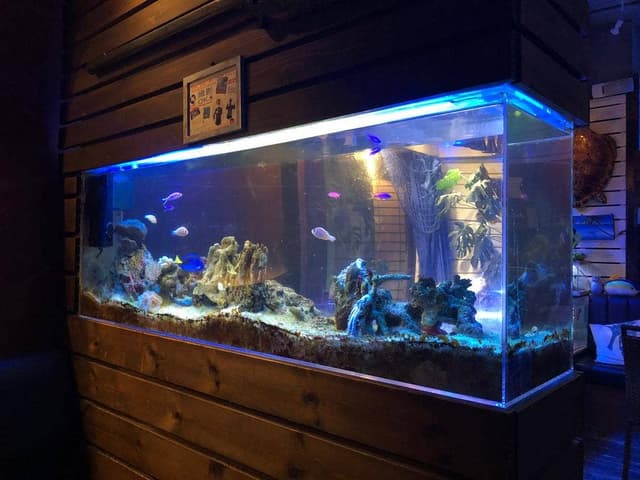 BLUE FISH AQUARIUM - サブ画像2