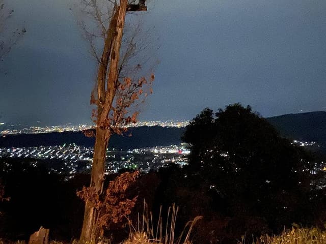 山岡ピザ - サブ画像2