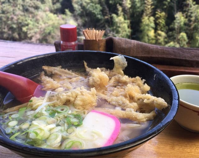 岩屋うどん - サブ画像2