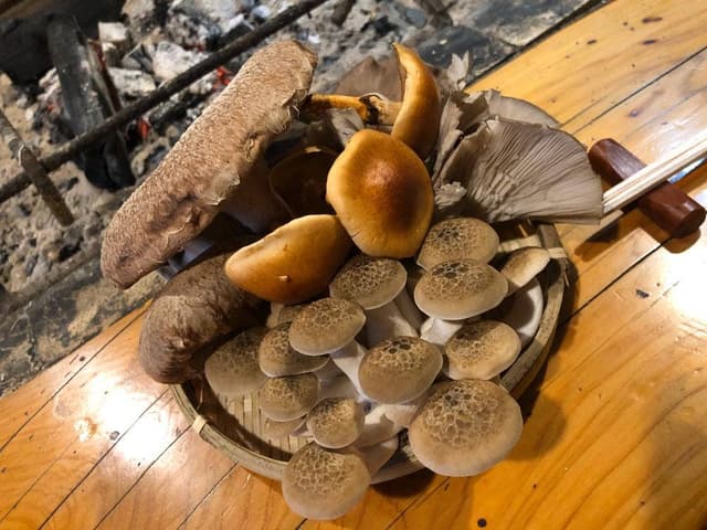 きのこの館 - サブ画像2