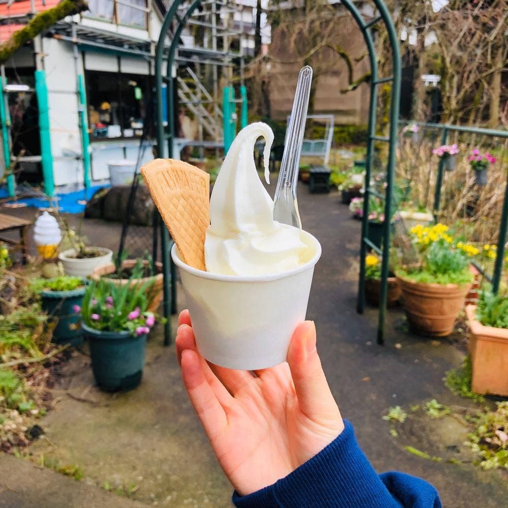 平泉寺のソフトクリーム屋さん