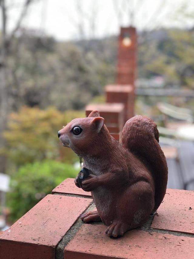 カフェテラス 樹ガーデン - サブ画像3