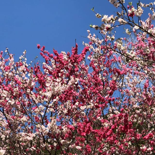 ビスタリ食堂 - サブ画像2