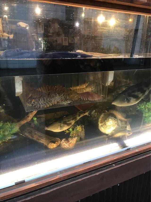 あらし - サブ画像2