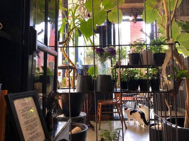 ボタニカルアイテム&カフェ シアン - サブ画像1