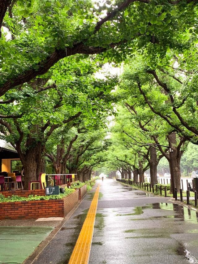 シェイクシャック 外苑いちょう並木店 - サブ画像3