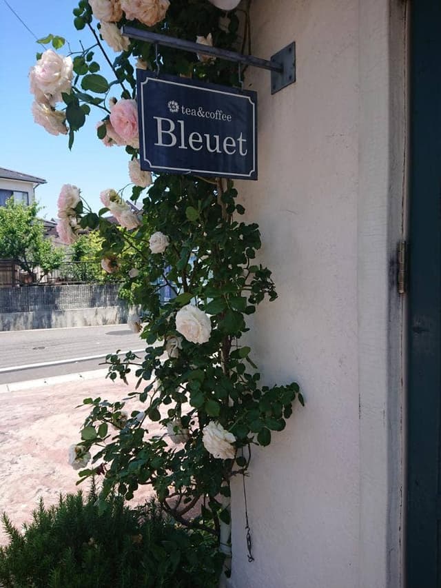 ブルーエ - サブ画像2