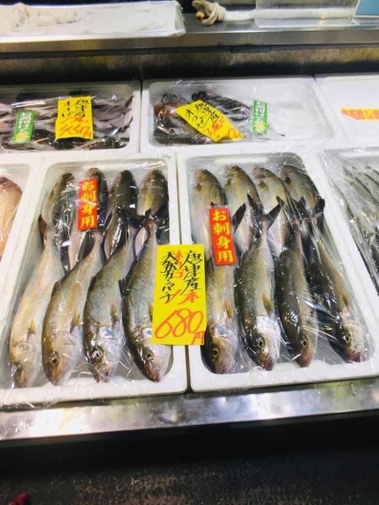 マリンセンター おさかな村