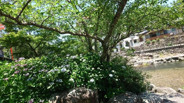 あけぼのカフェ - サブ画像3