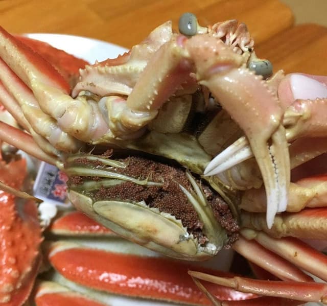 民宿海の家 つるだ - サブ画像1