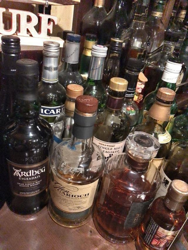 Birdland - サブ画像3