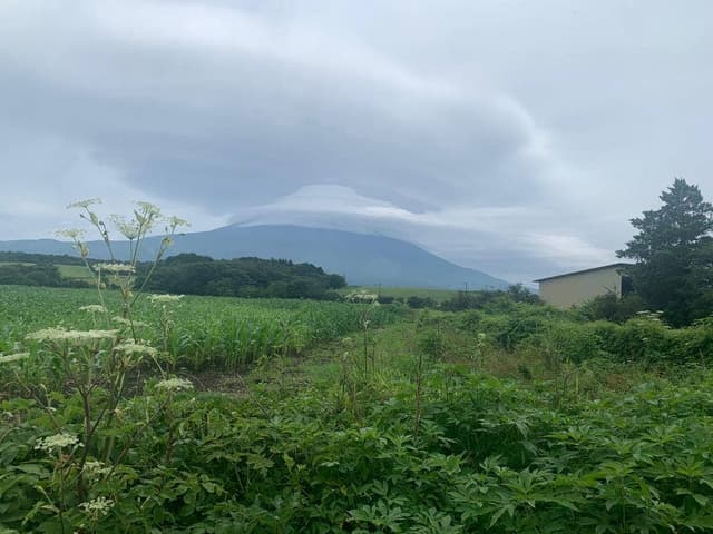 ハートランド朝霧 - サブ画像3