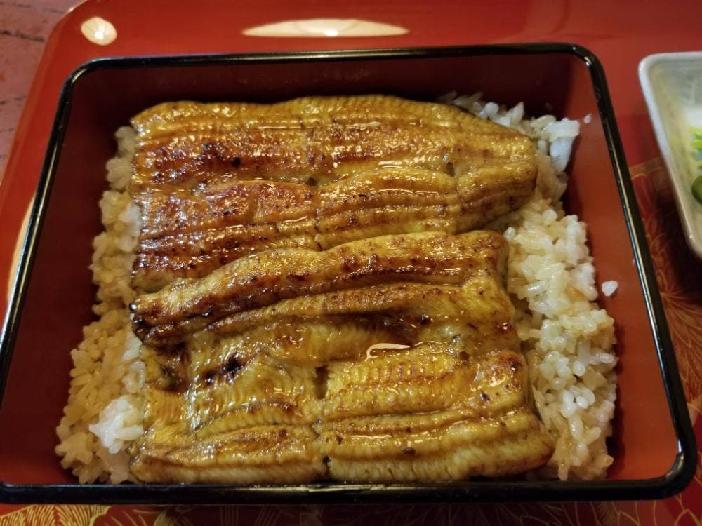 梅乃井