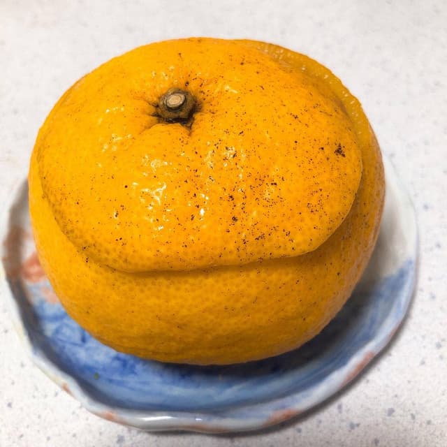 春泰堂 松山古川店 - サブ画像2