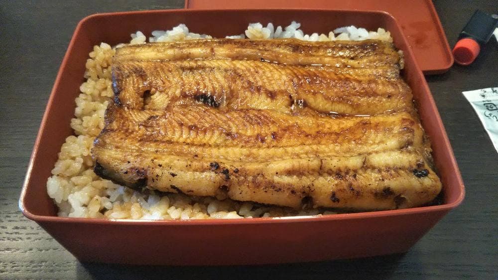 うなぎ川亀