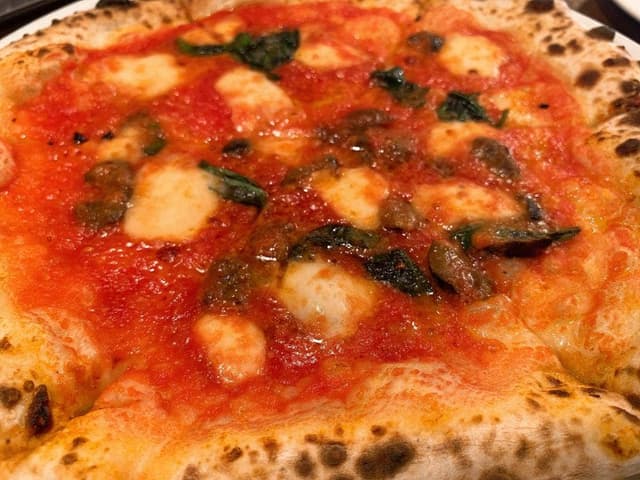 Snow goose - サブ画像3