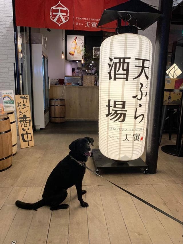 天ぷら 天寅 自由が丘店 - サブ画像3