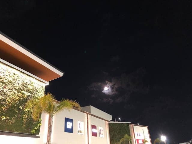 揚げ天まる イオンモール宮崎店 - サブ画像1