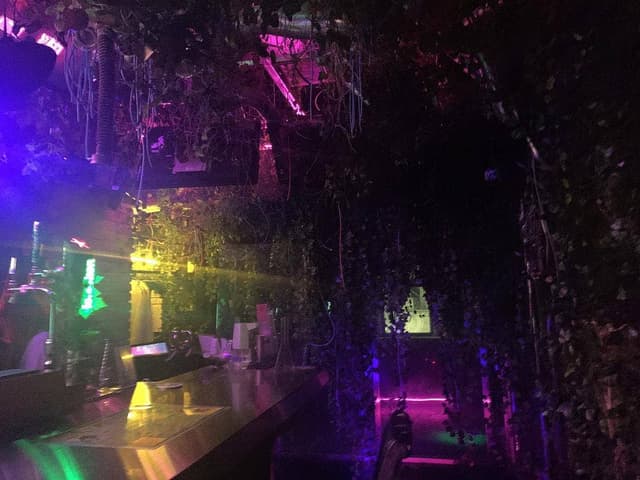 KEMURI-mist jungle- - サブ画像2
