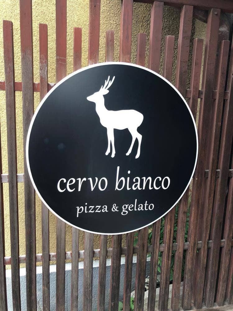 cervo bianco