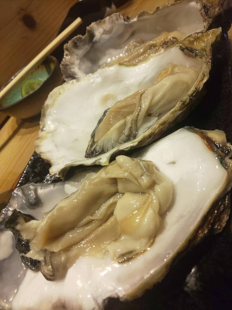 富山の地酒と肴 呑蔵