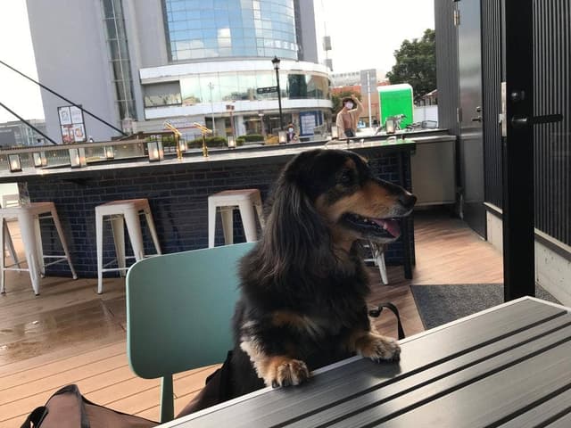 グッドスプーン 高の原テラス店 - サブ画像3