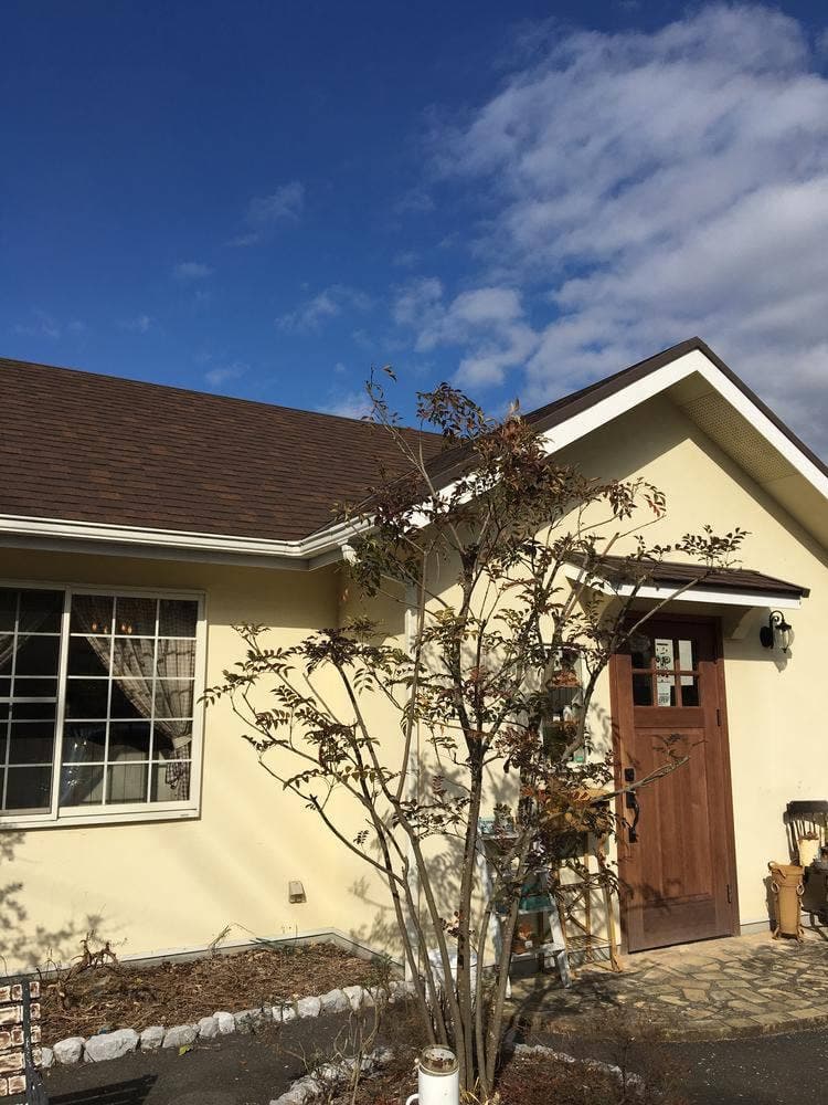 ストロベリーフィールド