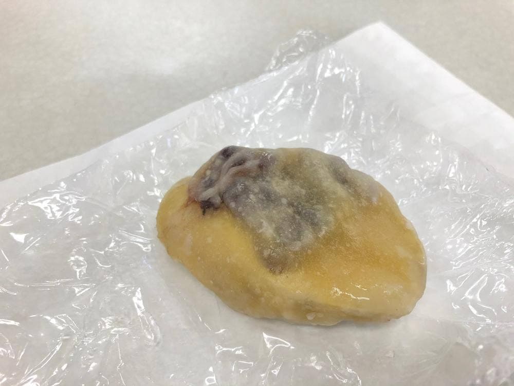 草千里グリーンパーク