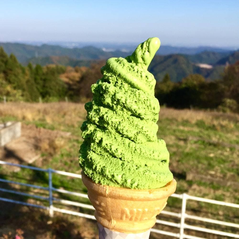 彩の国ふれあい牧場 めーめーハウス