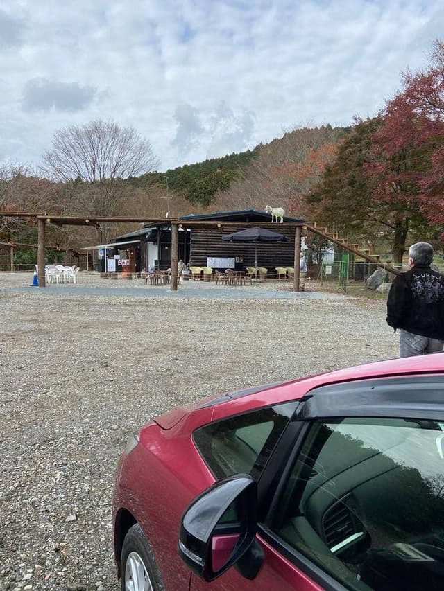 ヤギの木登りガーデンカフェ - サブ画像2