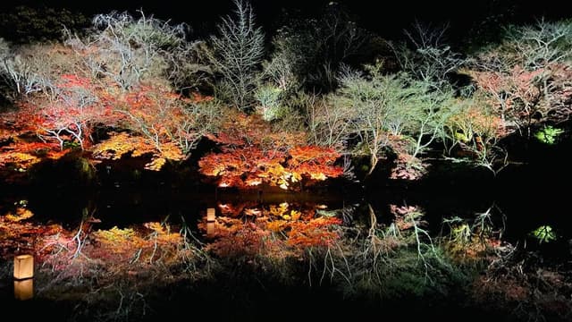 御船山楽園 茶屋バー - サブ画像2