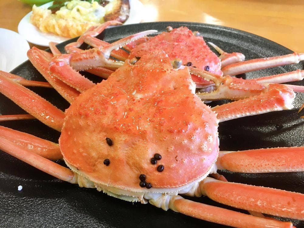 お食事処うおいち