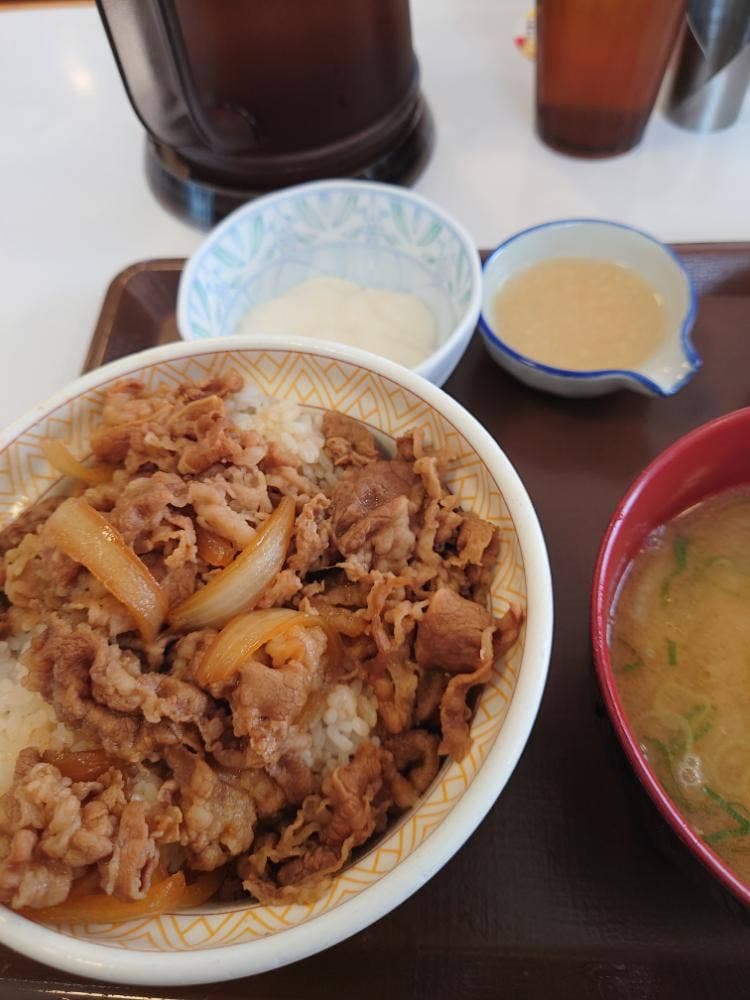 すき家 157号大野店