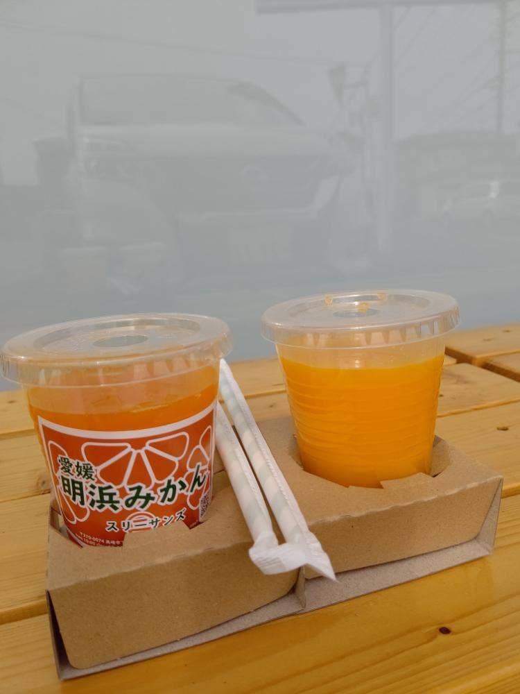 スリーサンズ 下小鳥店