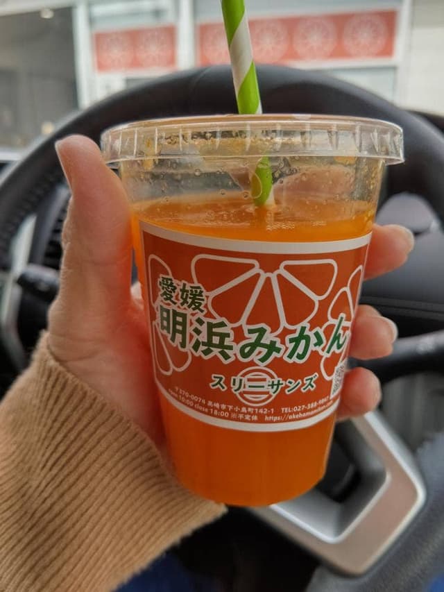 スリーサンズ 下小鳥店 - サブ画像1