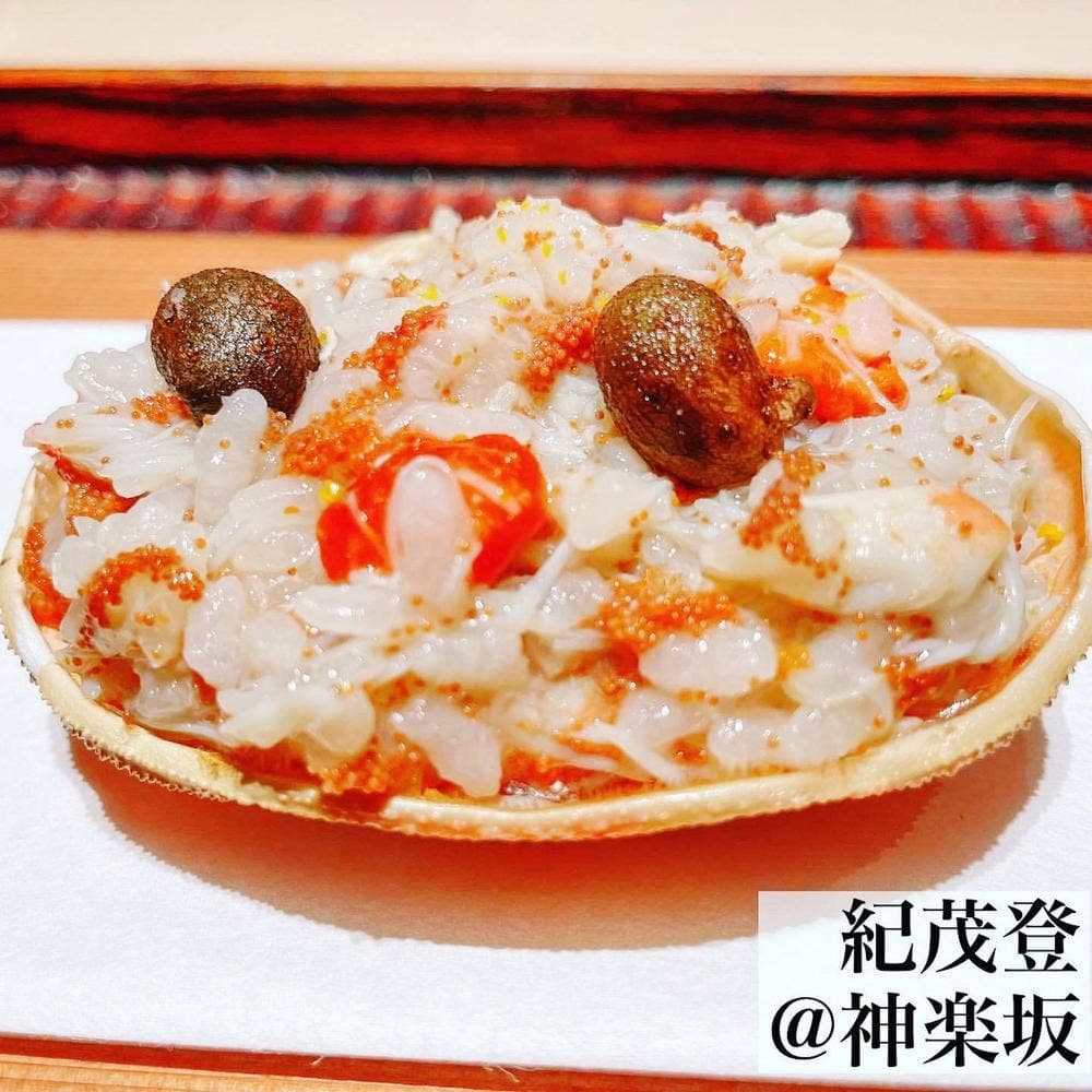 紀茂登