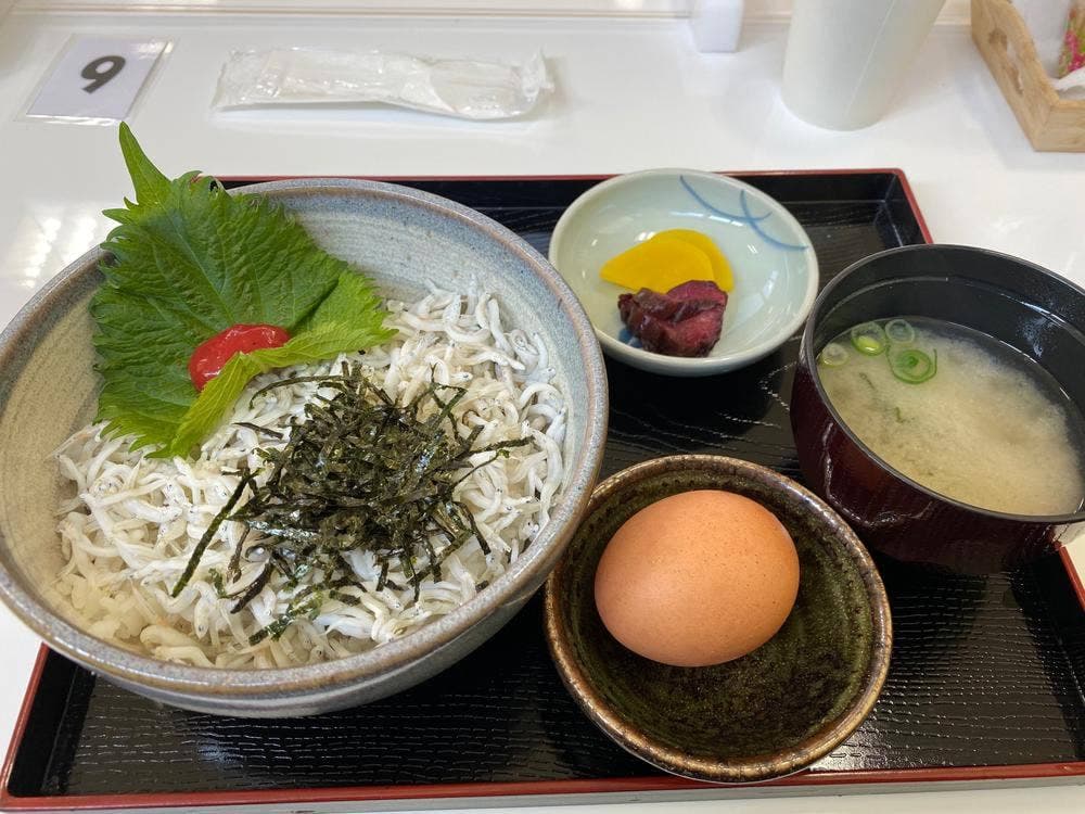 道の駅 白崎海洋公園