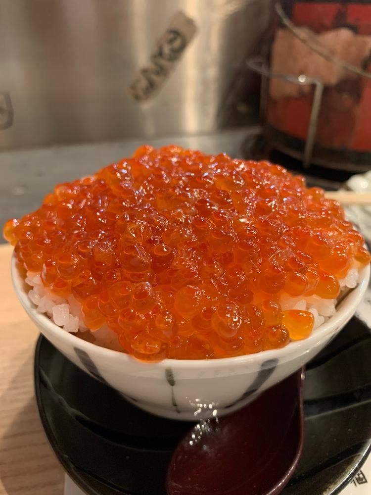 魚せん