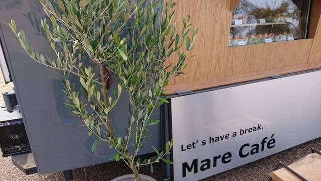 mare cafe - サブ画像1