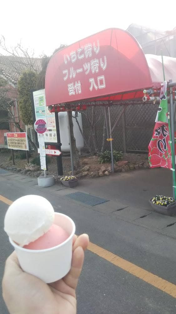 ジェラートハウスCAMPO いちごの里