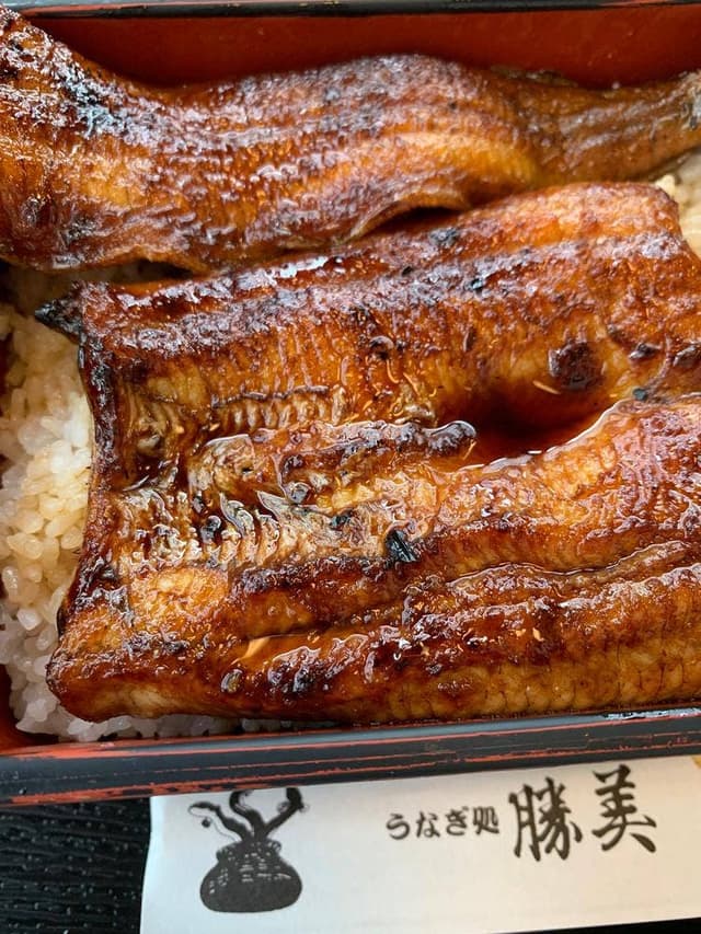 うなぎ処 勝美 三ケ日インター店 - サブ画像2
