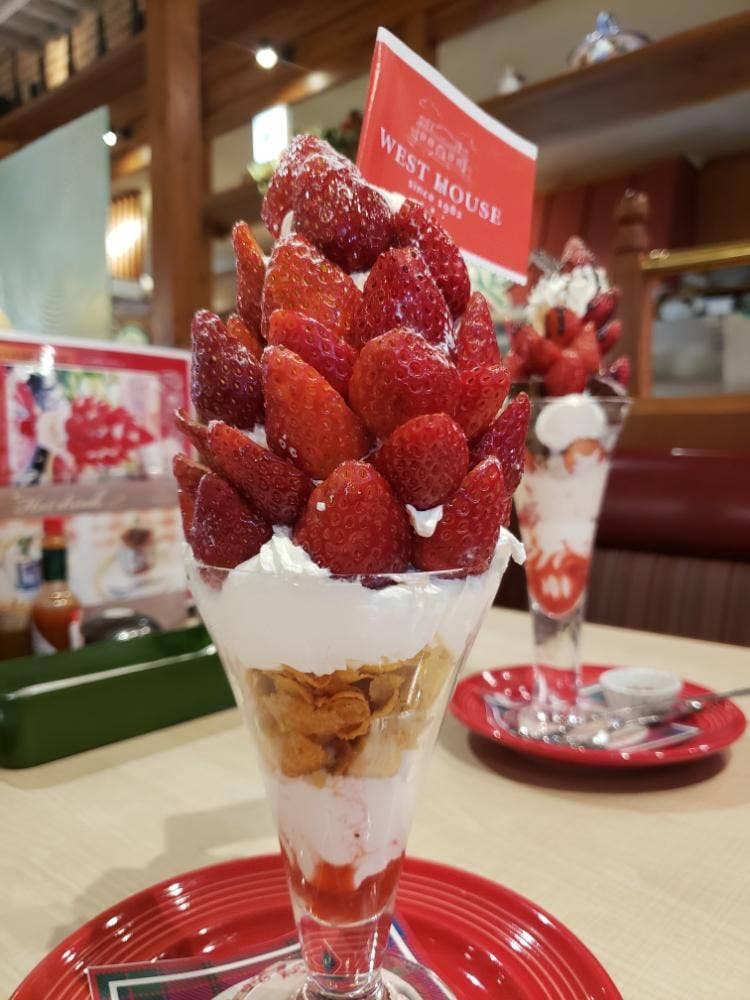 ウエストハウス 神立店