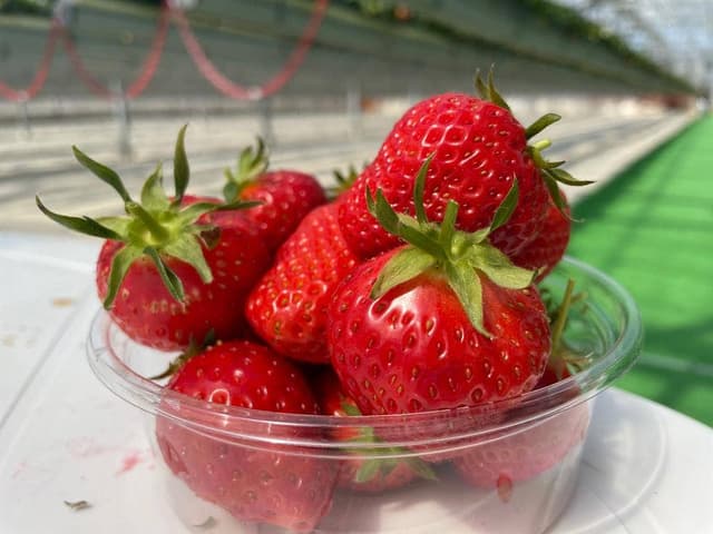 いちご畑はる - サブ画像2