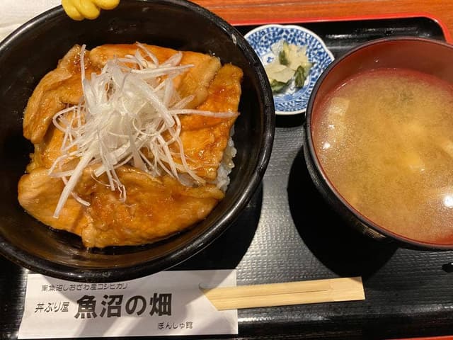 魚沼の畑 - サブ画像3