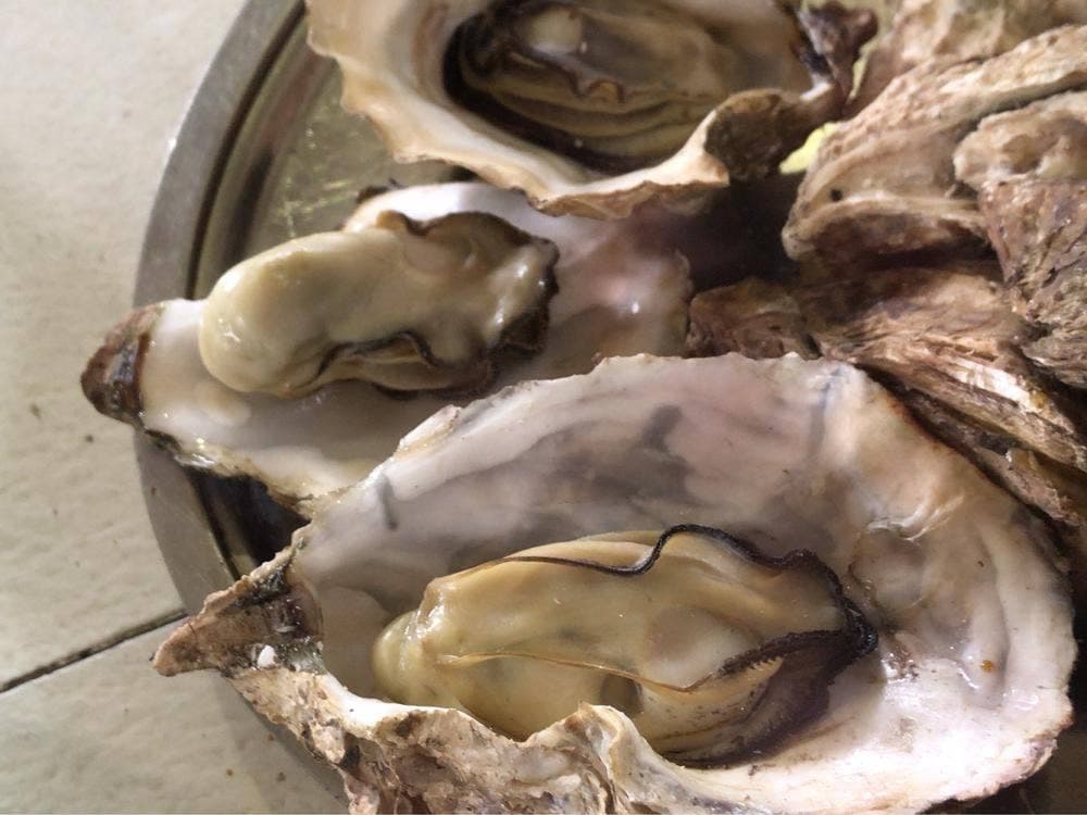 浜英水産