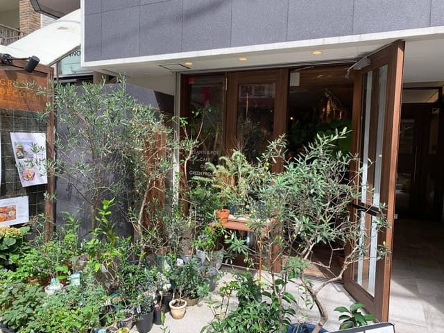 GREEN DECORATE - サブ画像1