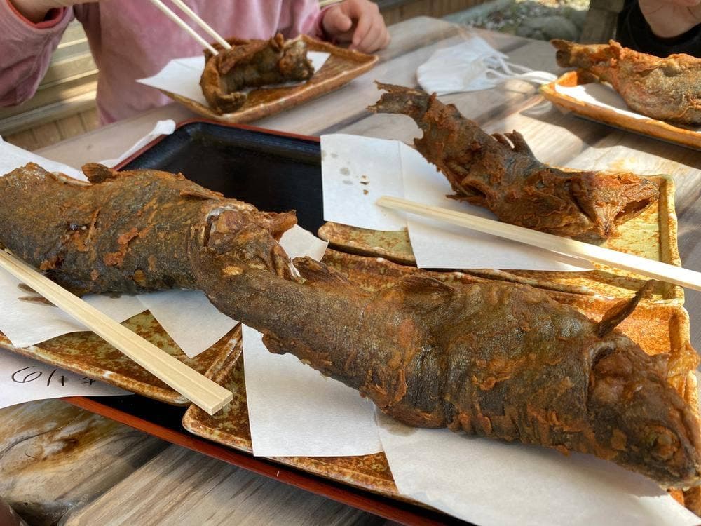 鮎川魚苑