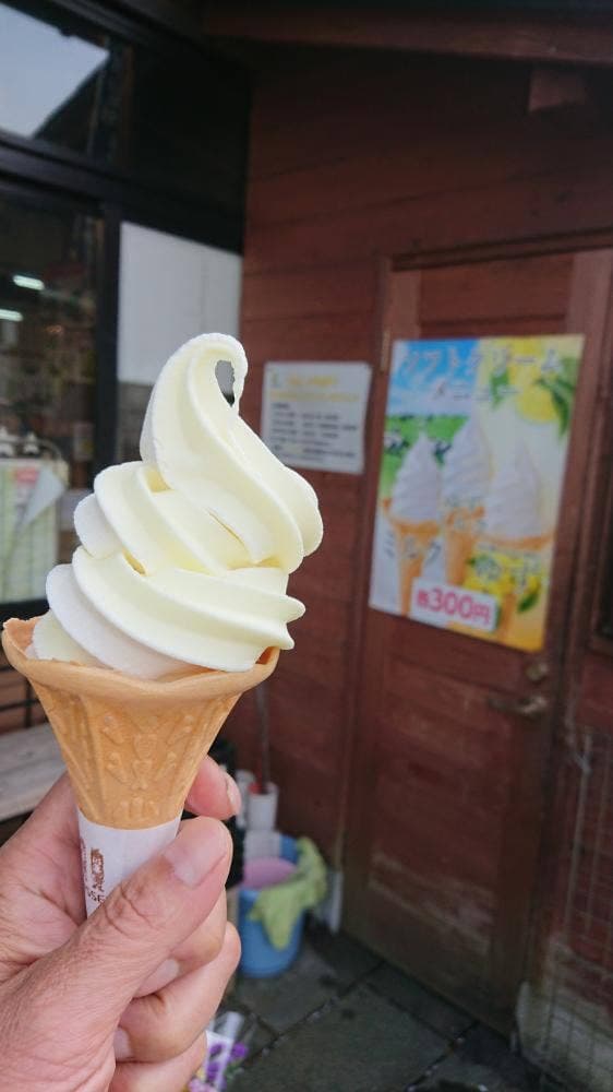 道の駅いんない石橋ステーション